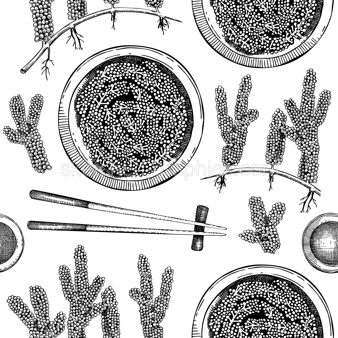 Hand drawn sea grapes seamless pattern. Umibudo salad sketch. Green caviar. Edible seaweed vector background isolated on white background. Asian cuisine texture Illustration
